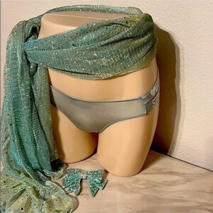 Silver Hipster Bikini Briefs with Logo Waistband